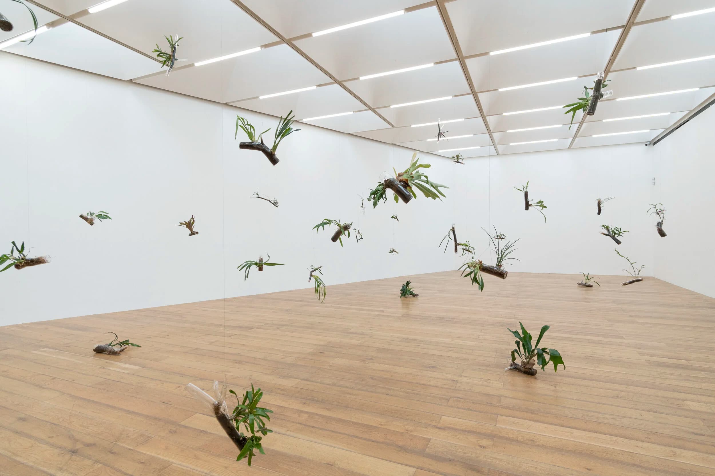 The virtual art exhibitions in Notts this spring that you have to see