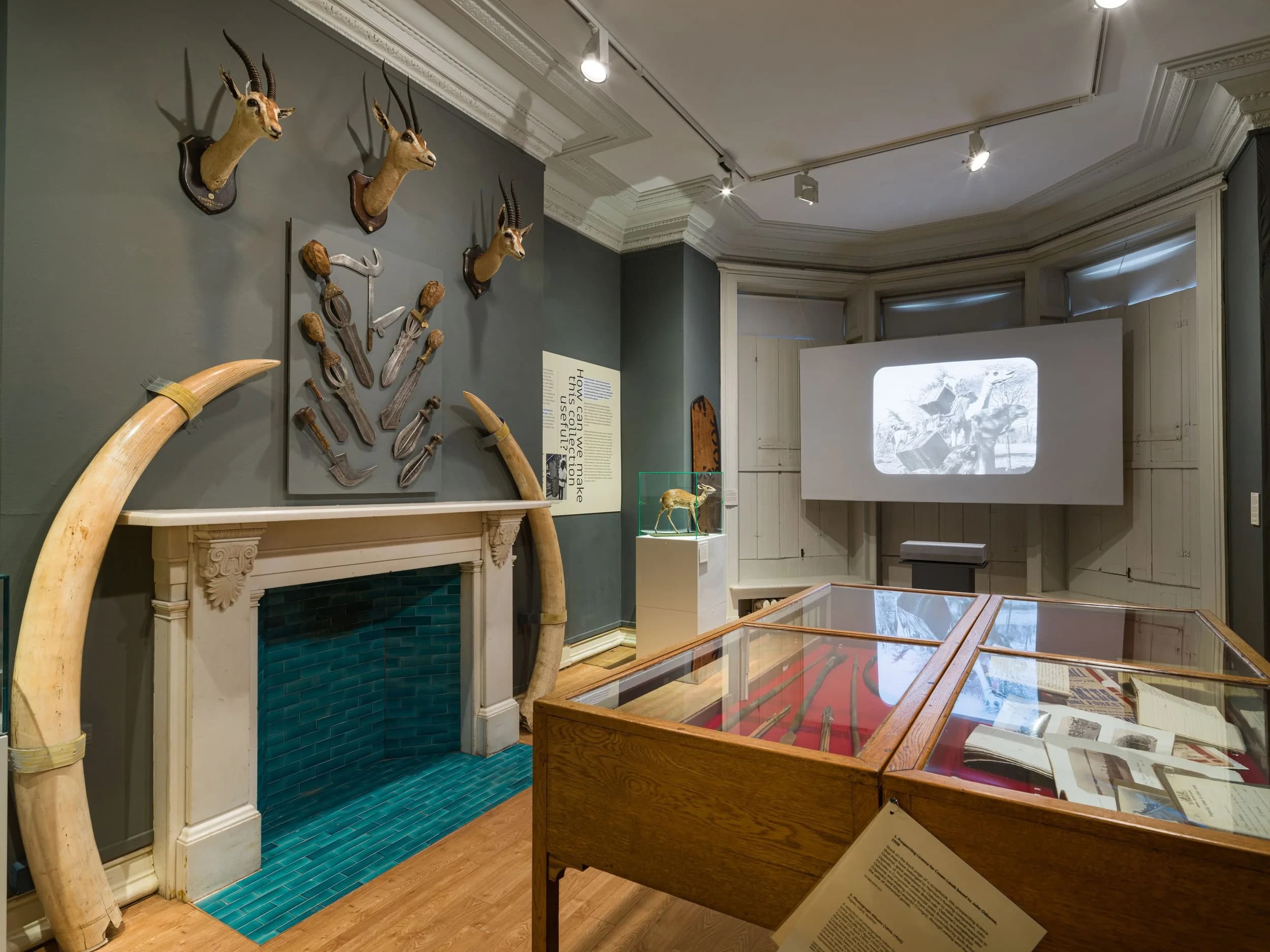 ‘Shot two zebras. Played tennis’: Scarborough museum confronts legacy of colonial past